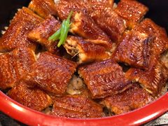 柴藤流鳗鱼饭-本家 柴藤