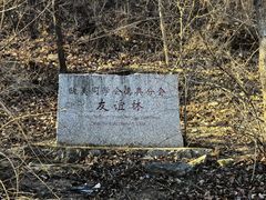 -北京鹫峰国家森林公园
