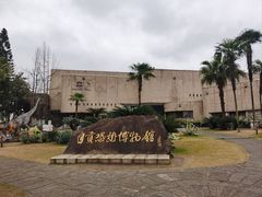 -自贡恐龙博物馆
