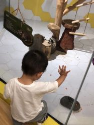 -七巧国萌宠乐园(龙湖天街店)