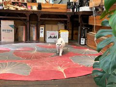 -谷咖啡·鲜花绿植花园餐厅
