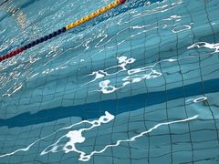 -小海豚国际游泳培训中心(浦东塘桥店)