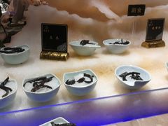 -海玥荟海鲜姿造自助餐厅(欧罗巴广场店)