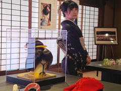 -弥荣会馆日本传统艺能表演