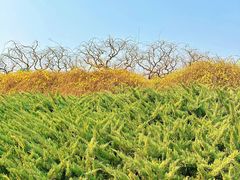 -元大都城垣遗址公园