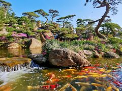 -罗红摄影艺术馆