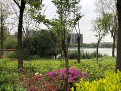 -南翔镇银翔湖公园