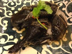 藥膳雞-沙龙酒家
