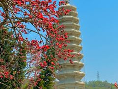 -南普陀寺