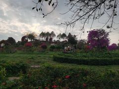 -东莞植物园
