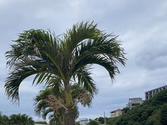 -濑长岛