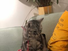 -隹木咖啡馆(宝龙广场店)