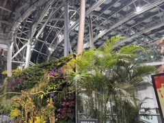 -北京植物园-展览温室