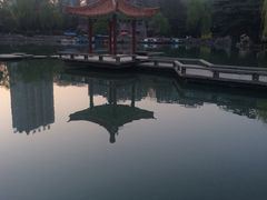 -西苑公园