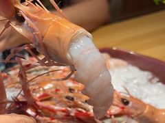 新西兰鳌鱼-花和海鲜自助(梅江店)