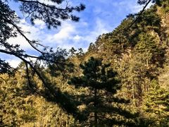 -九华山风景区