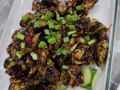 红烧佛手螺-山里饭店(贵安店)