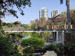 -晓港公园