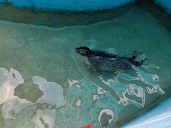 -合肥野生动物园