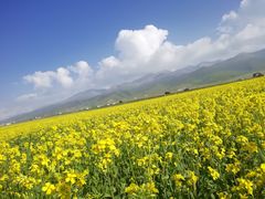 -青海湖国家重点风景名胜区