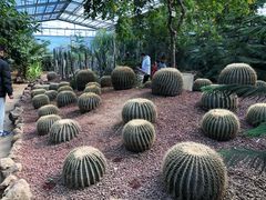 -呀路古热带植物园