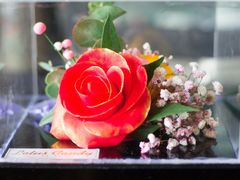 -瓷语堂(上海五维空间创意园店)