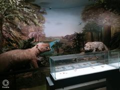 -湖南省地质博物馆