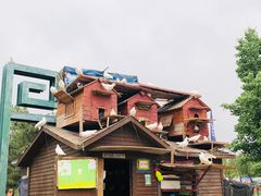 -永定河休闲森林公园