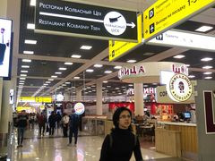 -谢列梅捷沃国际机场