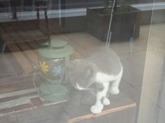 android_upload_pic-MIKAKU(万达广场上海宝山店)