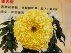 -重庆园博园