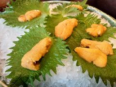 海胆-万岛日本料理铁板烧(静安店)