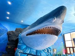 -多彩贵州城极地海洋世界