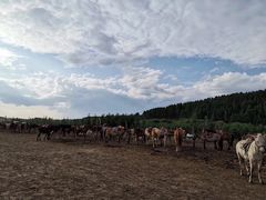 -塞罕坝国家级自然保护区