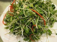 -洁捷餐饮(双桥农场店)