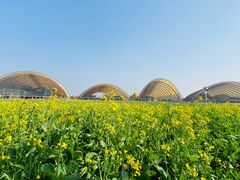 -中国天府农业博览园