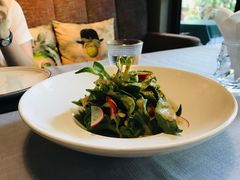 芝麻沙律冰草-T館·花园艺术餐厅