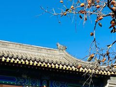 -北京石刻艺术博物馆(五塔寺)