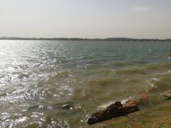 -丁香湖公园