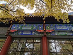 -四川大学(华西校区)