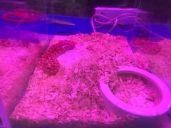 -三旗百汇商品城