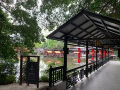 -侨美·唐荔园·40年地道粤菜