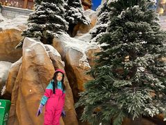 -长沙湘江冰雪世界