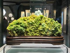 -安徽省地质博物馆