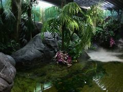 -上海海洋水族馆-停车场