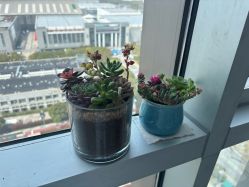 -月来悦好月子中心(东部新城店)