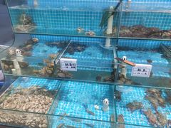 -晓伟海鲜家常菜