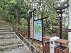 -广州白江湖森林公园