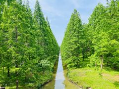 -黄海国家森林公园