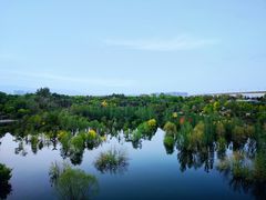 -北京园博大酒店